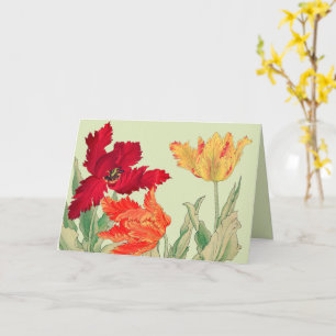 Papageientuppe, Blumengeburt Karte
