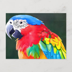 Papageienvogel Postkarte