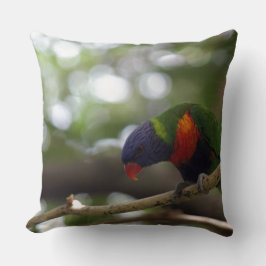 Papageienvogel-Tigerdruck personifizieren Kissen