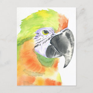 Papageienwasserfarbe Postkarte