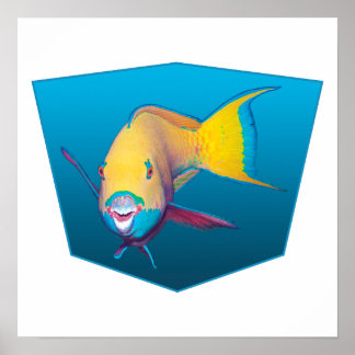 Papageifisch - Design Farbverlauf blauer Hintergru Poster