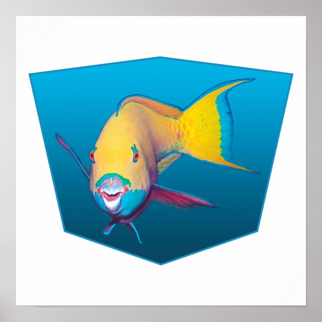 Papageifisch - Design Farbverlauf blauer Hintergru Poster (Vorne)