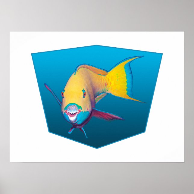 Papageifisch - Design Farbverlauf blauer Hintergru Poster (Vorne)