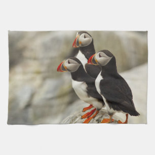 Papageitaucher auf Machias Seal Island Handtuch
