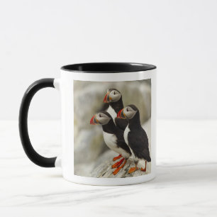 Papageitaucher auf Machias Seal Island Tasse