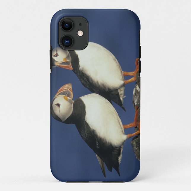 Papageitaucher Case-Mate iPhone Hülle (Rückseite)