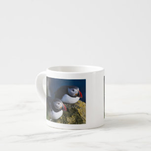 Papageitaucher Espressotasse