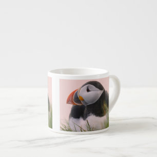 Papageitaucher (Fratercula arctica) 6 Espressotasse