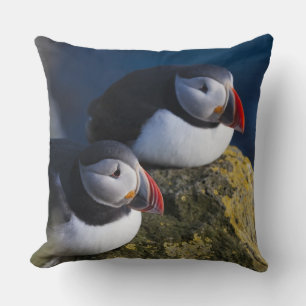 Papageitaucher (Fratercula arctica) 7 Kissen