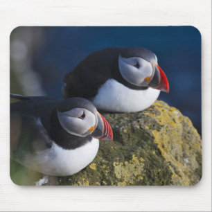 Papageitaucher (Fratercula arctica) 7 Mousepad