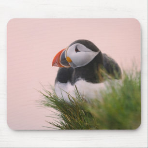 Papageitaucher (Fratercula arctica) Mousepad