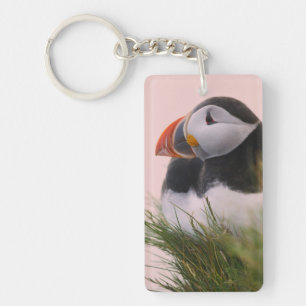 Papageitaucher (Fratercula arctica) Schlüsselanhänger