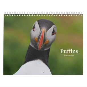 Papageitaucher-Kalender Kalender
