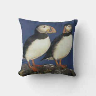 Papageitaucher Kissen