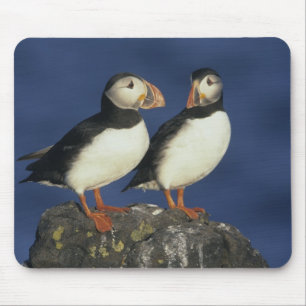 Papageitaucher Mousepad