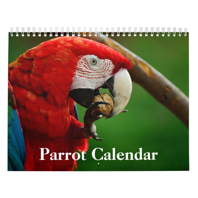 Papagekalender 2020 kalender (Titelbild)