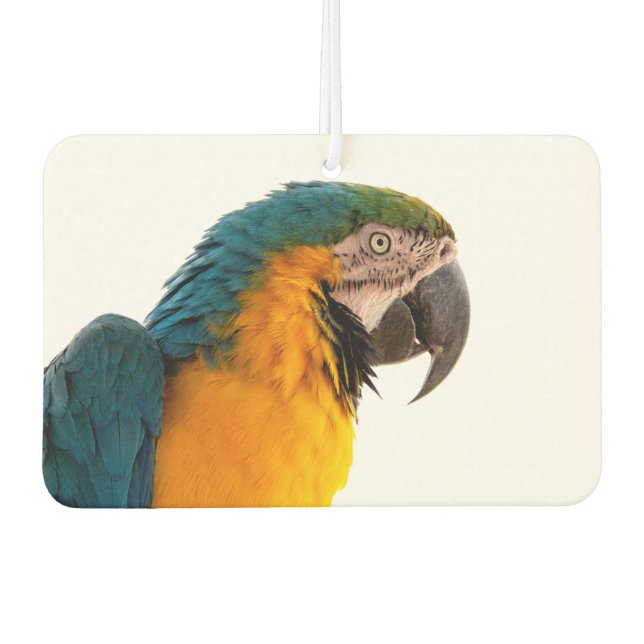 PapageNotes Autolufterfrischer (Vorderseite)