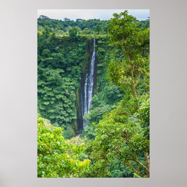Papapapaitai Wasserfall im Dschungel Poster (Vorne)