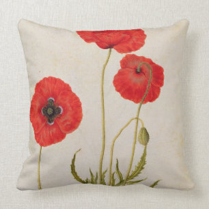 Papavar rhoeas, c.1568 kissen