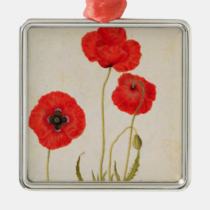 Papavar rhoeas, c.1568 silbernes ornament
