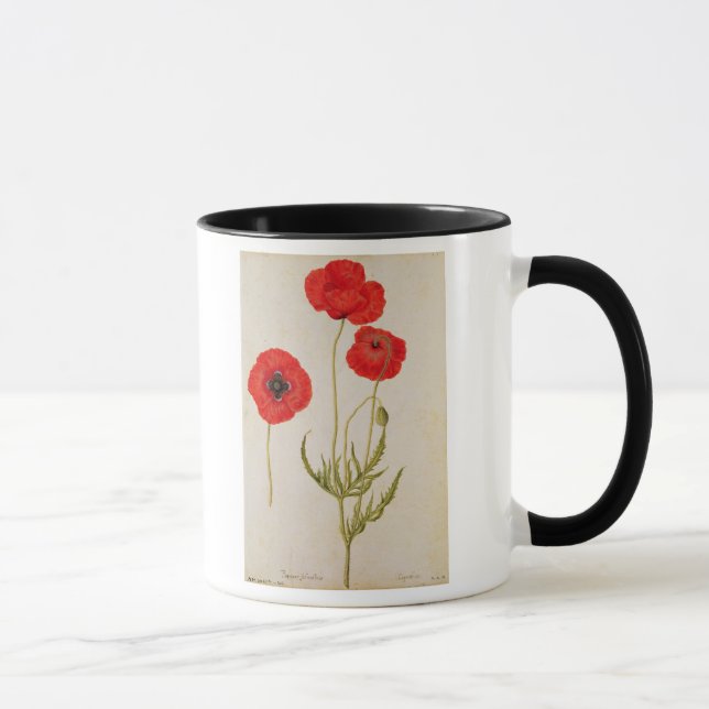 Papavar rhoeas, c.1568 tasse (Rechts)