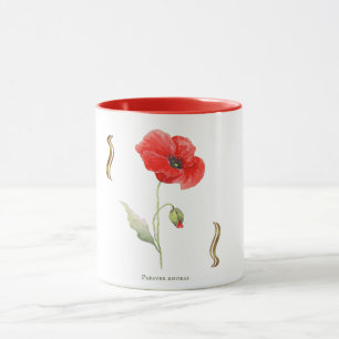 Papaver rhoeas  tasse
