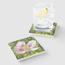 Papaver Somniferum Pink Poppy Art Steinuntersetzer