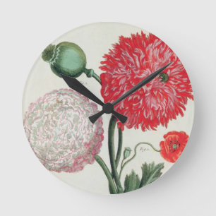 Papaver-Somniferum und Papaver rheas graviert Runde Wanduhr