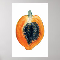 PAPAYA botanischer Fruchtorange