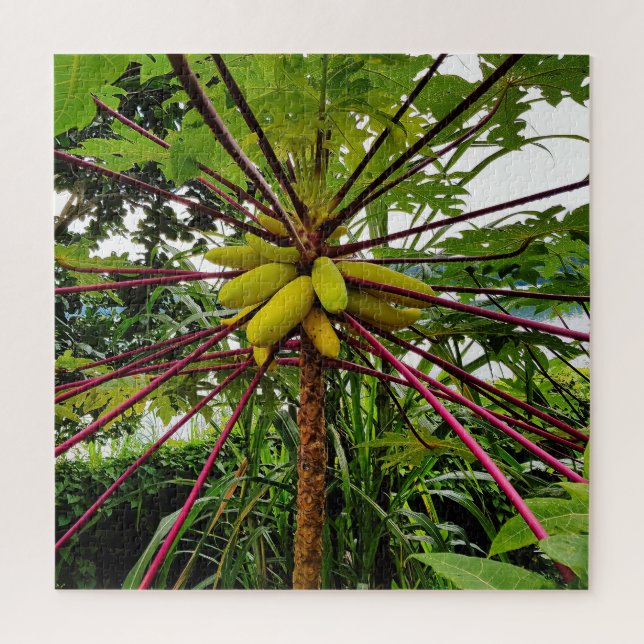 Papaya Tree Puzzle (Vertikal)