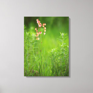 Paper Hearts (Rumex Woodii), Ukhahlamba 2 Leinwanddruck