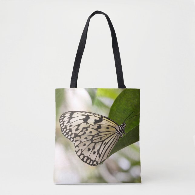 Paper Kite Butterfly (Vorderseite)
