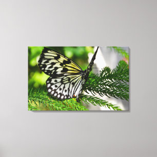 Paper Kite Butterfly Leinwanddruck