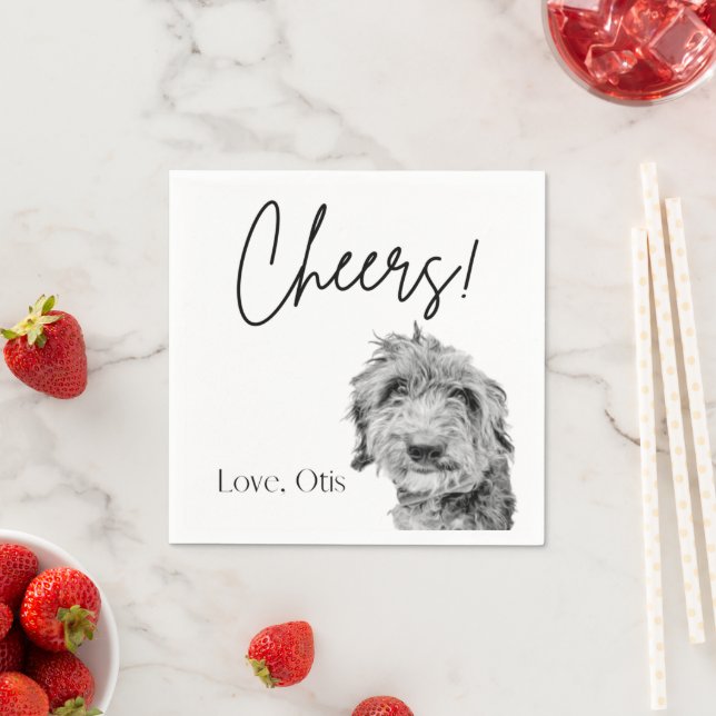 Paper Napkin Serviette (Beispiel)