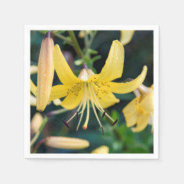 Paper Napkins Serviette