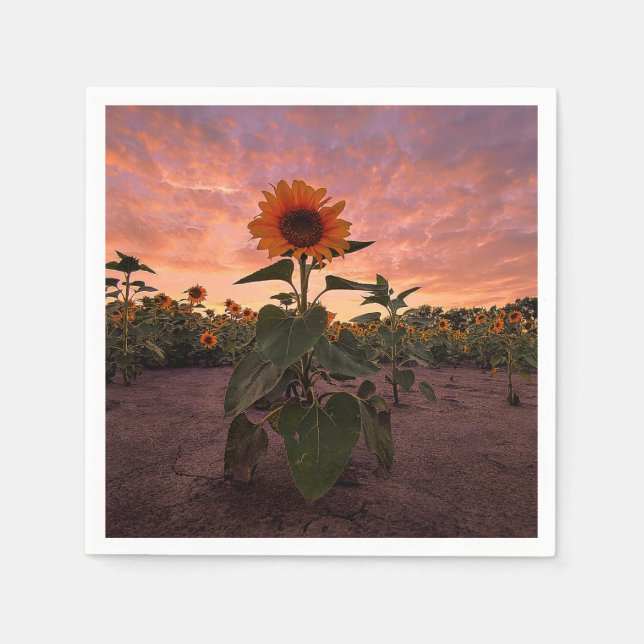 Paper Napkins Serviette (Vorderseite)