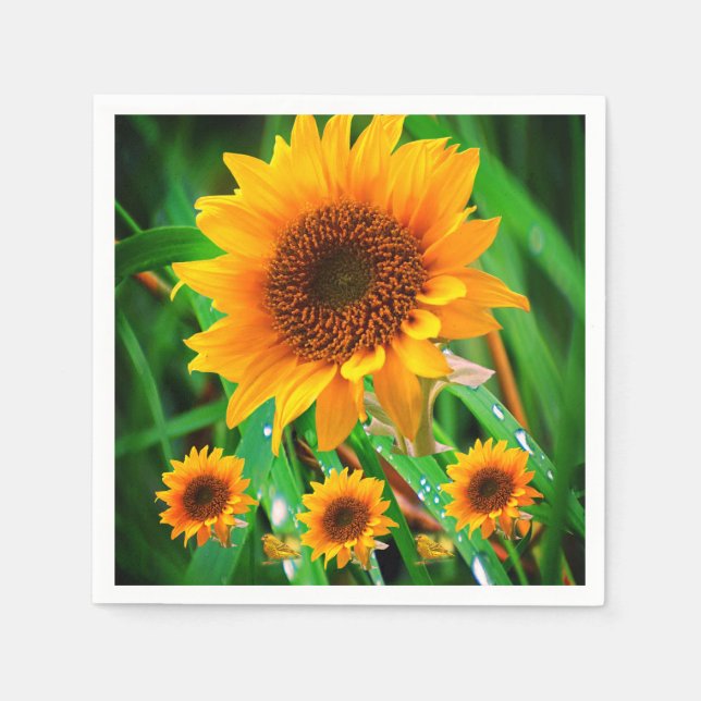 Paper Napkins Serviette (Vorderseite)