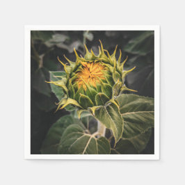 Paper Napkins Serviette