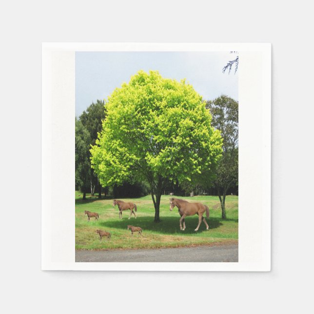 Paper Napkins Serviette (Vorderseite)