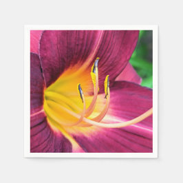 Paper Napkins Serviette