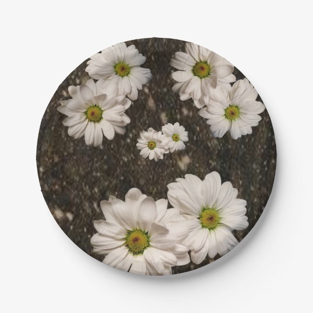 Paper Tellers Daisy Pappteller (Vorderseite)