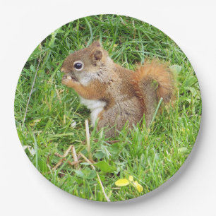Paper Tellers " Themed, Beautful Red Squirrel " Pappteller