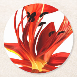 Paper Untersetzer Royal Poinciana