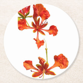 Paper Untersetzer Royal Poinciana