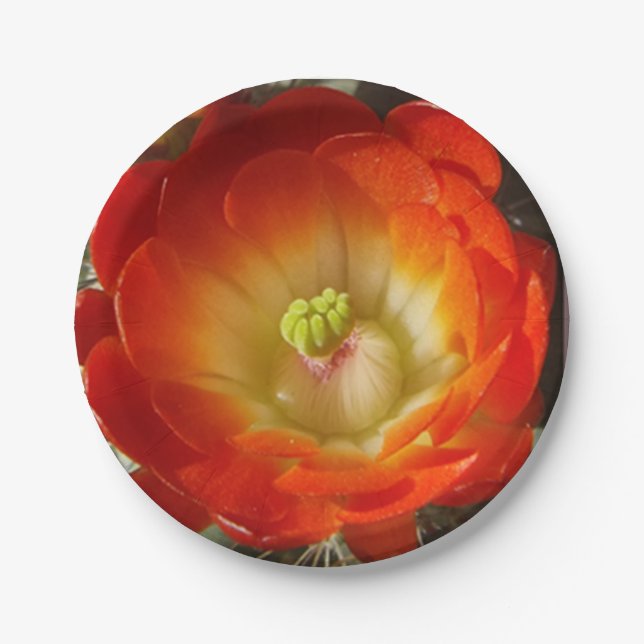 Paperplatten aus orangefarbener Blume Pappteller (Vorderseite)