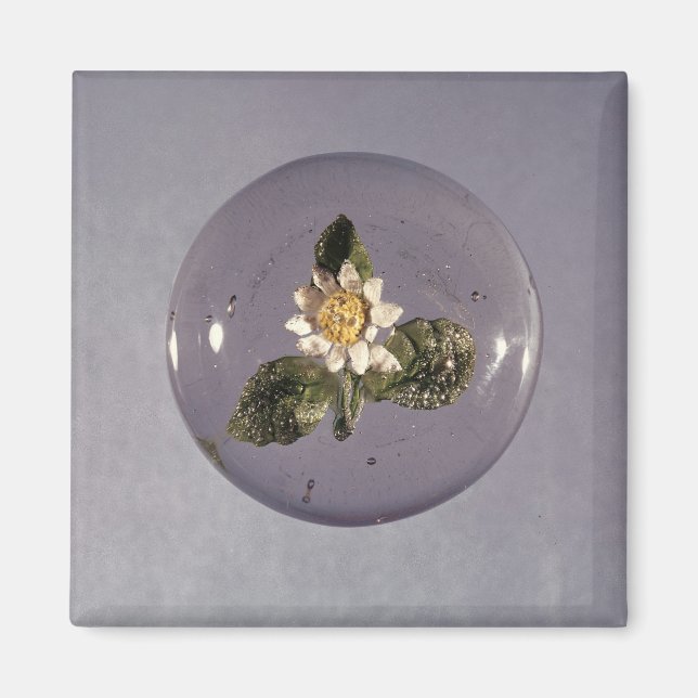 Paperweight, Pantin Workshop, c.1850 Magnet (Vorne)