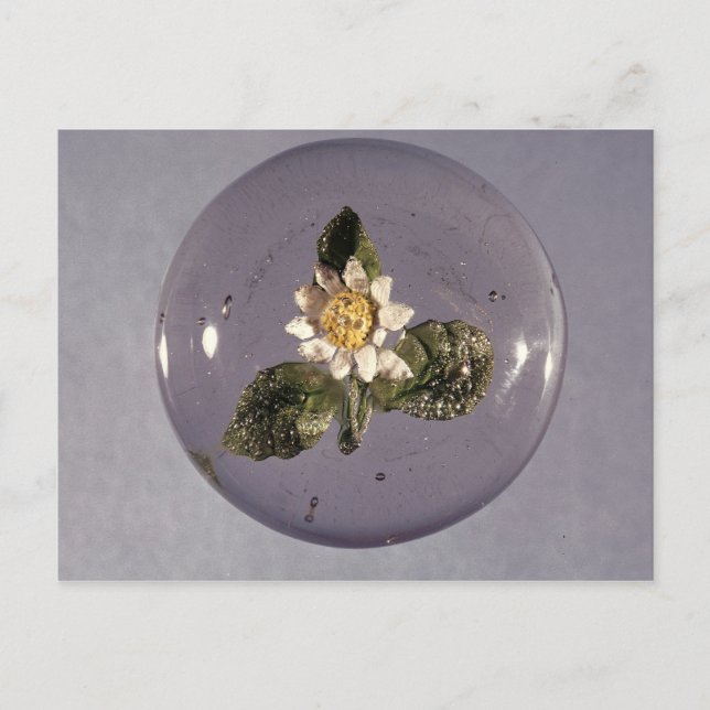 Paperweight, Pantin Workshop, c.1850 Postkarte (Vorderseite)