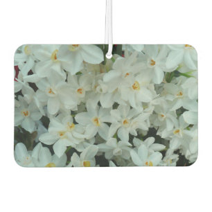 Paperwhite Narcissus Delikate Weiße Blume Autolufterfrischer