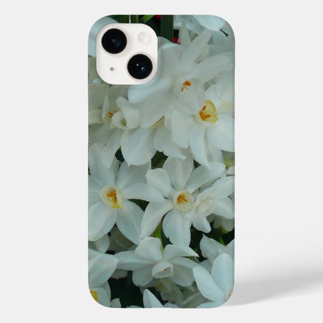 Paperwhite Narcissus Delikate Weiße Blume Case-Mate iPhone Hülle (Rückseite)