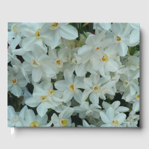 Paperwhite Narcissus Delikate Weiße Blume Gästebuch